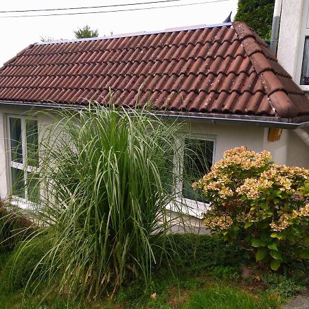 Ferienwohnung Im Naturpark Rhein-Westerwald Rengsdorf Екстер'єр фото