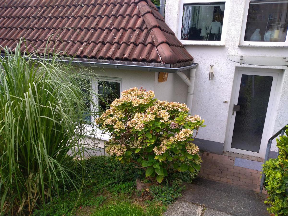 Ferienwohnung Im Naturpark Rhein-Westerwald Rengsdorf Екстер'єр фото
