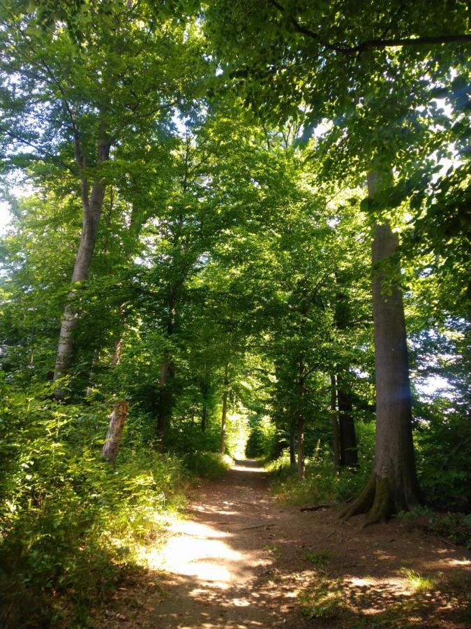 Ferienwohnung Im Naturpark Rhein-Westerwald Rengsdorf Екстер'єр фото